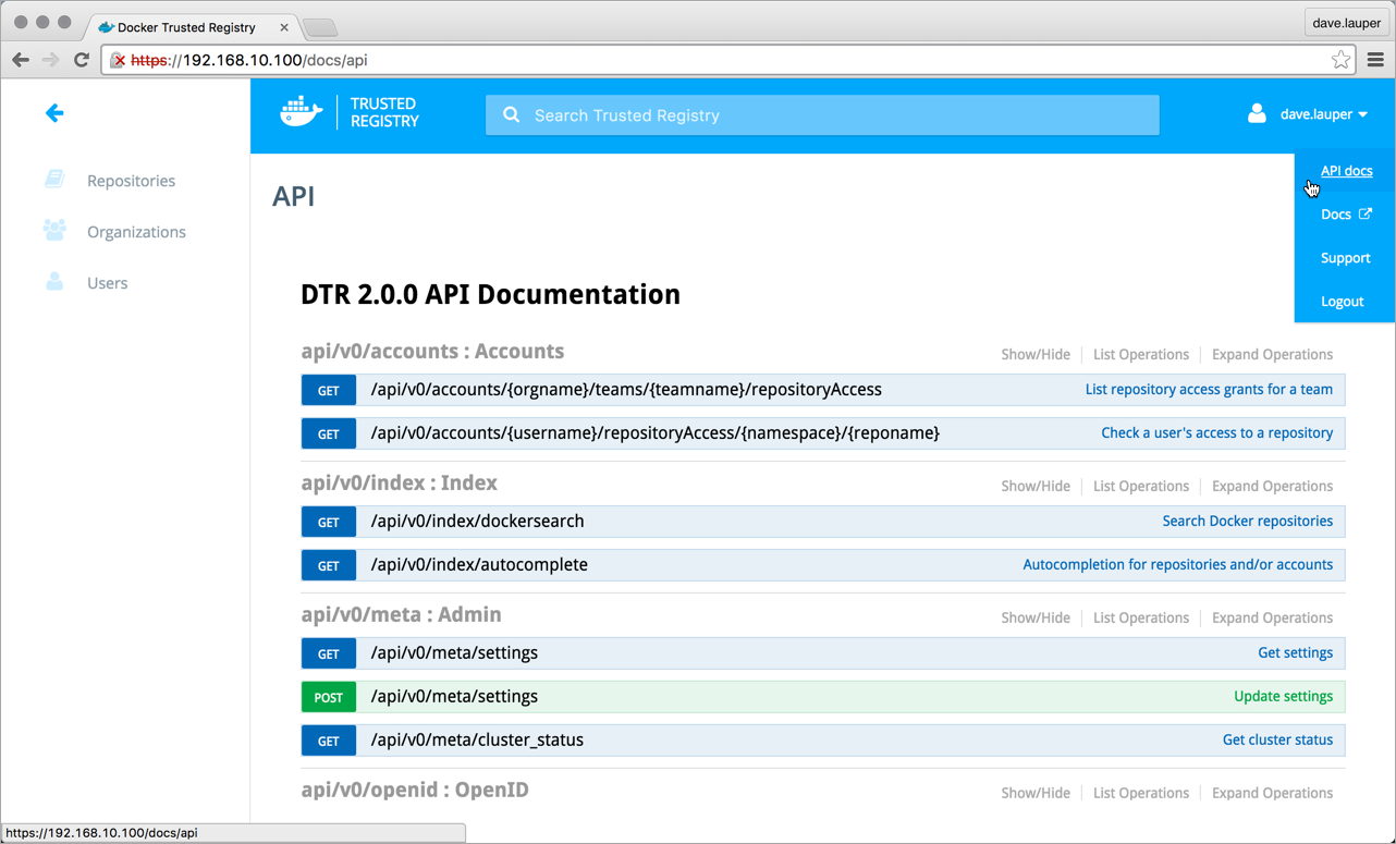 API docs page, DTR UI