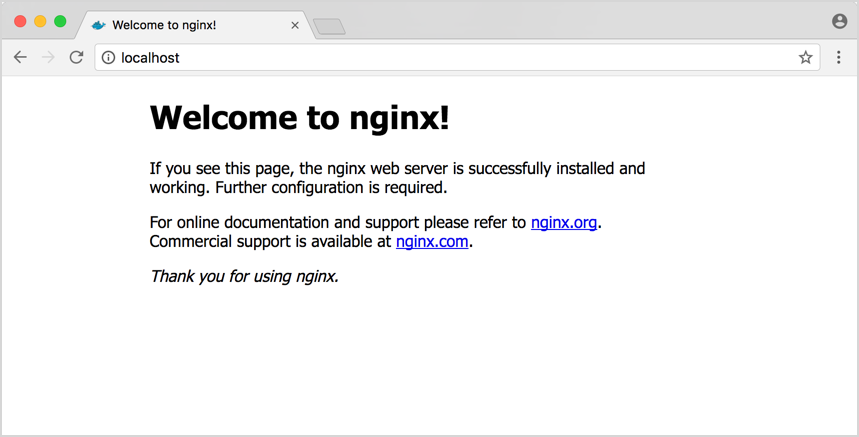 nginx home page
